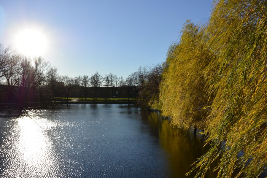 всепогодный универсал