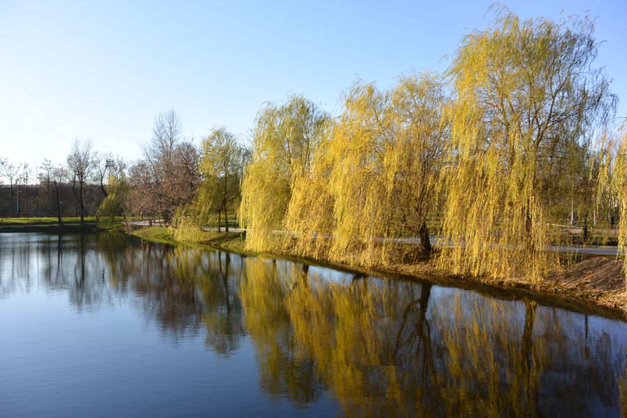 всепогодный универсал