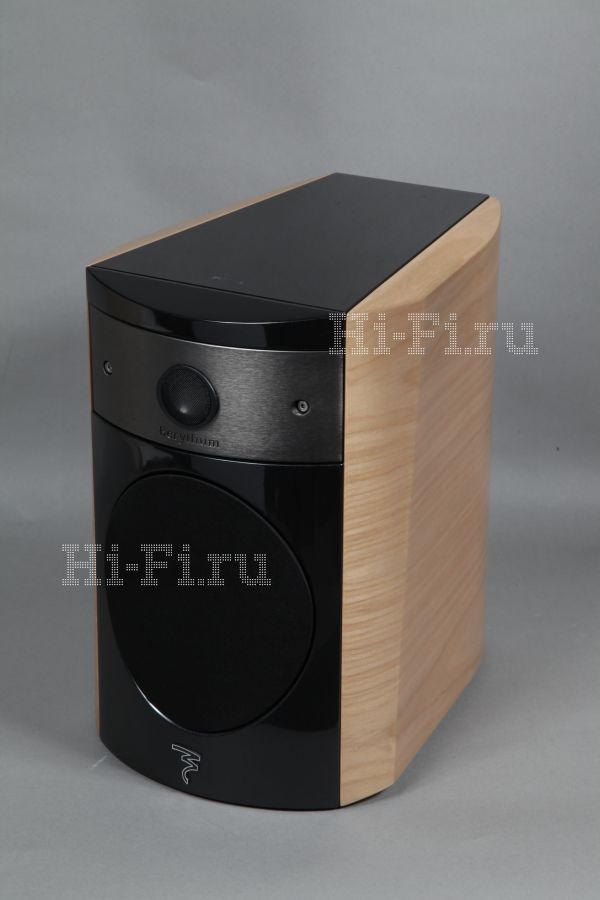 Focal Electra 1008 Be II _MG_1085.jpg