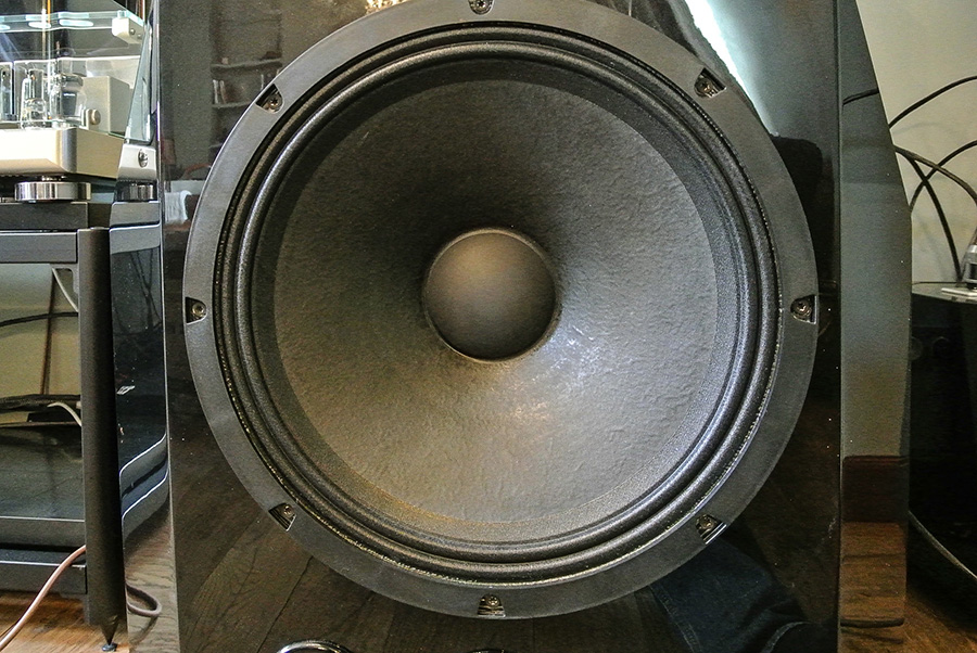 Активная система Slonov Sound Design Model 120