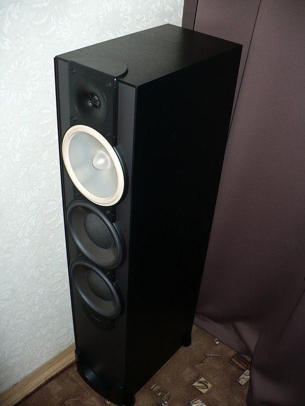 paradigm monitor 11v5