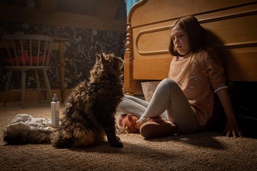 «Кладбище домашних животных» / Pet Sematary (2019)