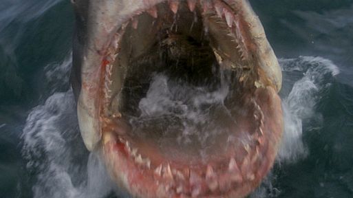 9. Челюсти / Jaws (1975)