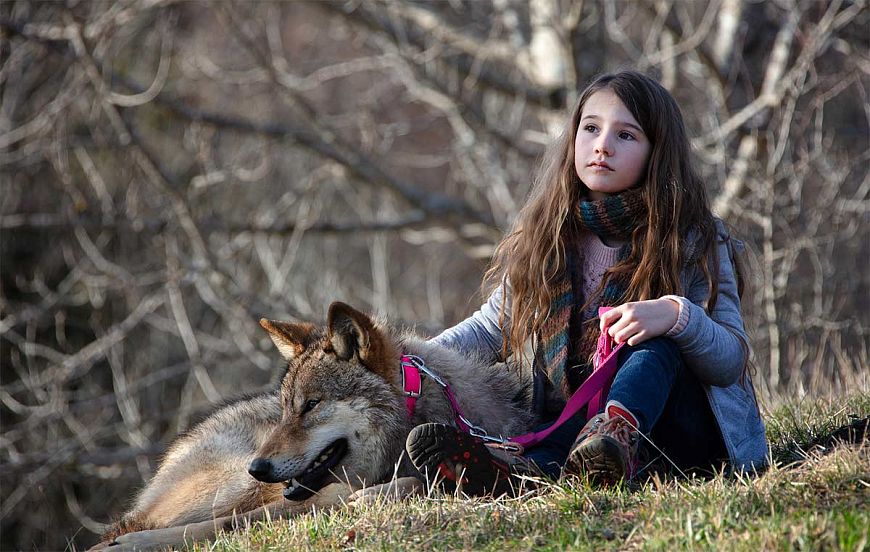 50 лучших семейных фильмов 2021 года – подборка со всего мира