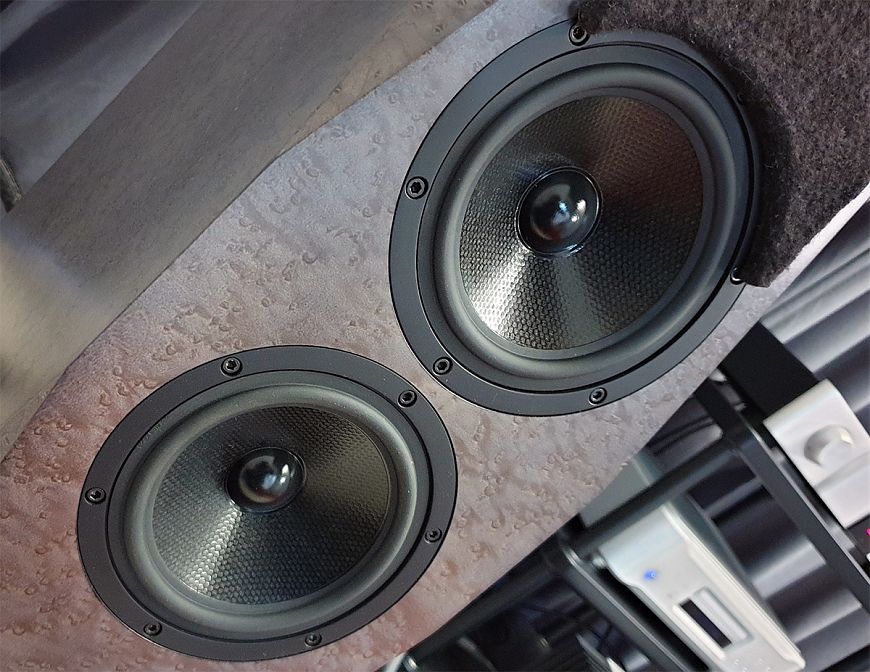 Напольные акустические системы Avalon Acoustics PM1