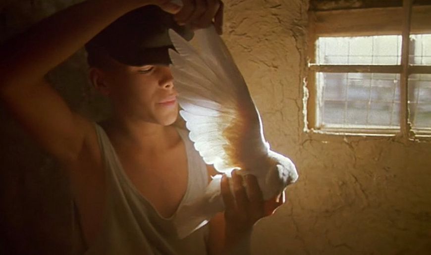 4. Чужая Белая и Рябой (1986)