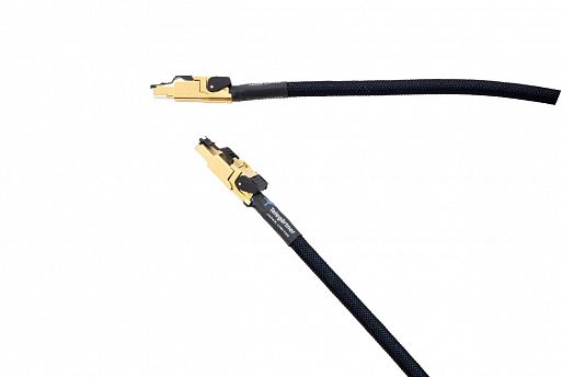 JCAT M12 Switch Gold