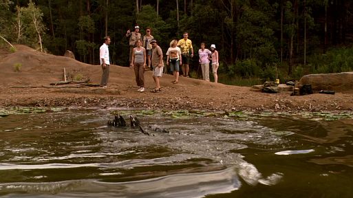 Крокодил / Rogue (2007)