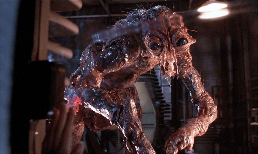 10. Сет Брандл – «Муха»