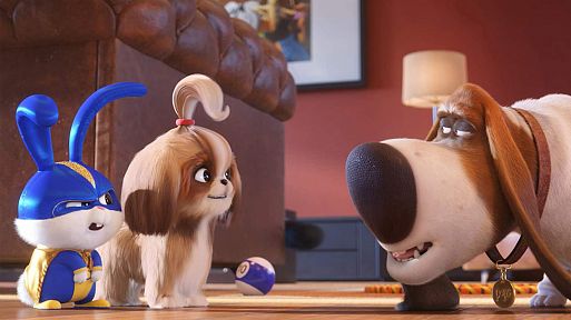 «Тайная жизнь домашних животных 2» / The Secret Life of Pets 2 (2019)