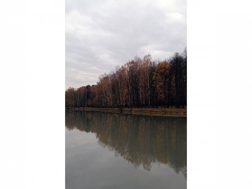 Смартфон HONOR 10X Lite