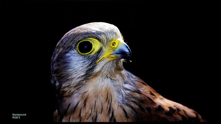 Лазерный 8K-проектор для домашнего кинотеатра JVC DLA-NZ7