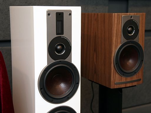 Беспроводные акустические системы DALI RUBICON 6 C