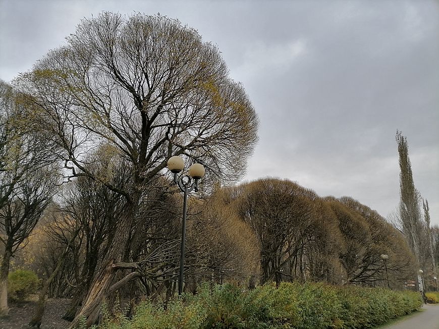 Смартфон HONOR 10X Lite