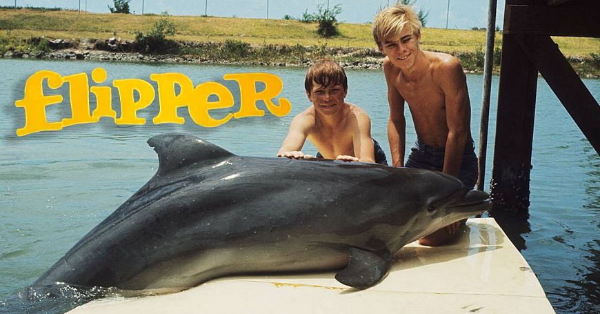 Флиппер / Flipper (1964-1967)