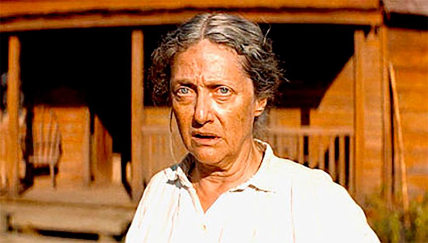 7. Братья Систерс / The Sisters Brothers (2018)