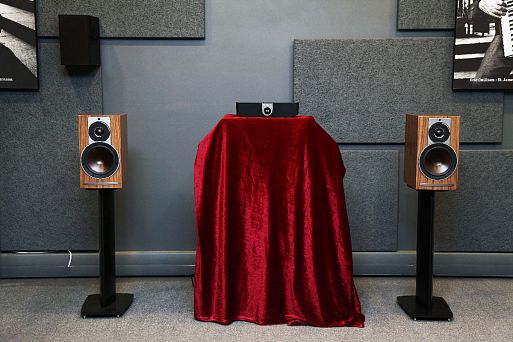 Беспроводные акустические системы DALI Rubicon 2C