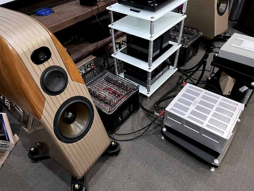 Интегральный усилитель Bladelius ODEN