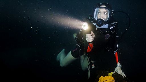 Синяя бездна 2 / 47 Meters Down: Uncaged (2019)