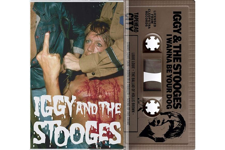 8. Iggy & The Stooges «I Wanna Be Your Dog»