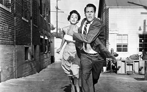 Вторжение похитителей тел / Invasion of the Body Snatchers (1956)