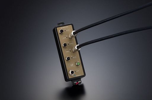 JCAT M12 Switch Gold