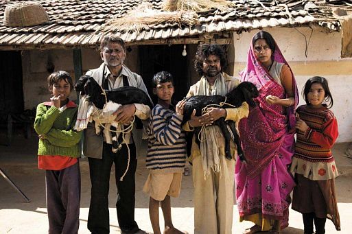 «Жизнь Пипли» / Peepli (Live) (2010)