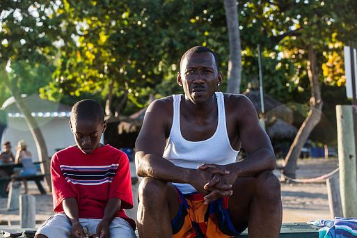 Лунный свет / Moonlight (2016)