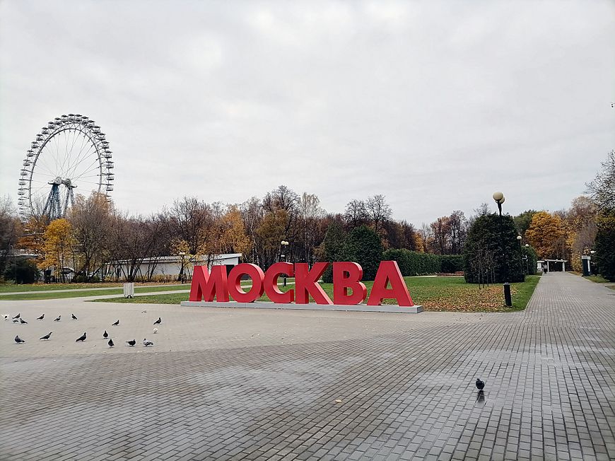 Смартфон HONOR 10X Lite