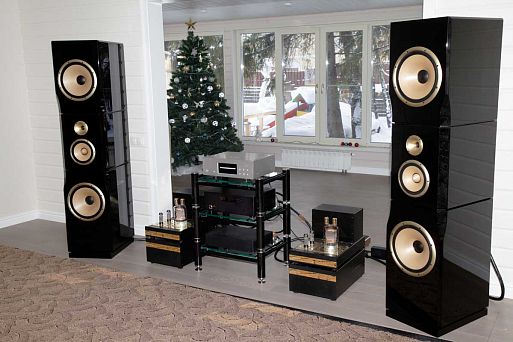 Авторская система Леонида Бурцева «Триумф»