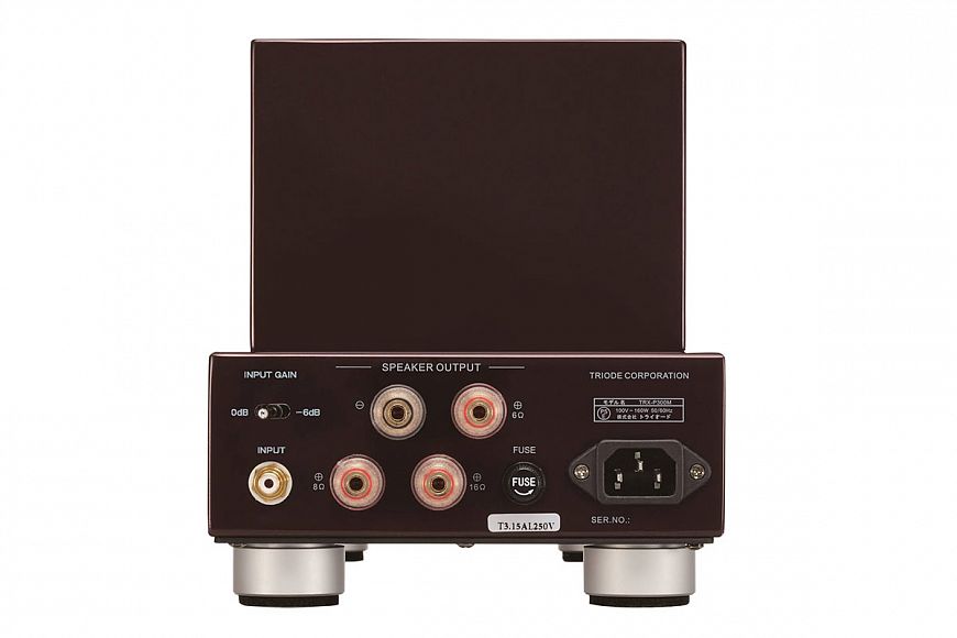 Монофонический усилитель мощности Triode TRX-P300M