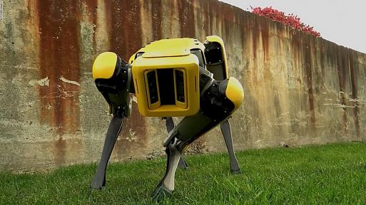 Робот-собака Boston Dynamics Spot Mini