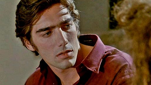 «Солдат» / The Soldier (1982)