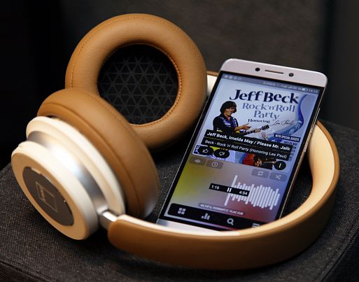 Беспроводные наушники DALI iO-6