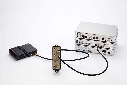 JCAT M12 Switch Gold