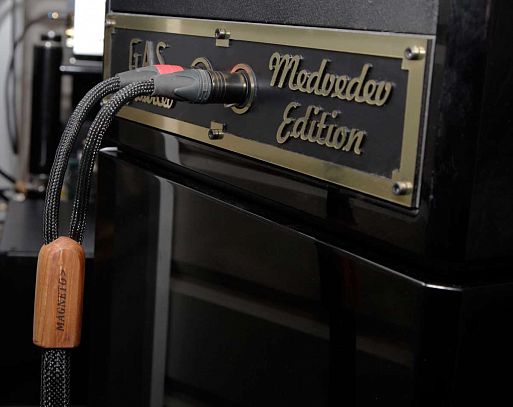 Авторская система Леонида Бурцева «Триумф»