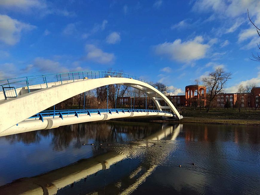 Смартфон Honor 50