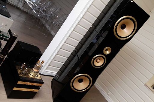 Авторская система Леонида Бурцева «Триумф»