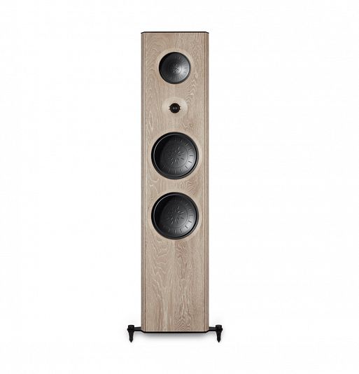 Акустические системы T+A Criterion CTL