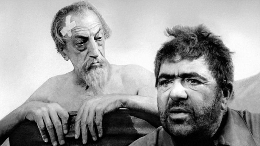 11. Дон Кихот / Don Quixote