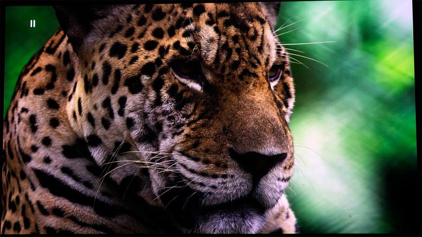 Лазерный 8K-проектор для домашнего кинотеатра JVC DLA-NZ7