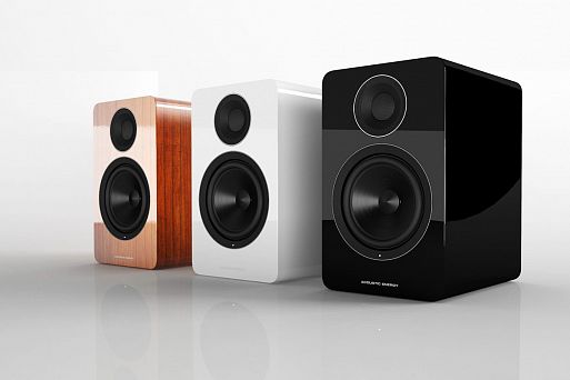 Полочные акустические системы Acoustic Energy AE 100