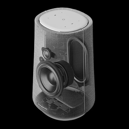 Беспроводные аудиосистемы Harman Kardon Citation 100