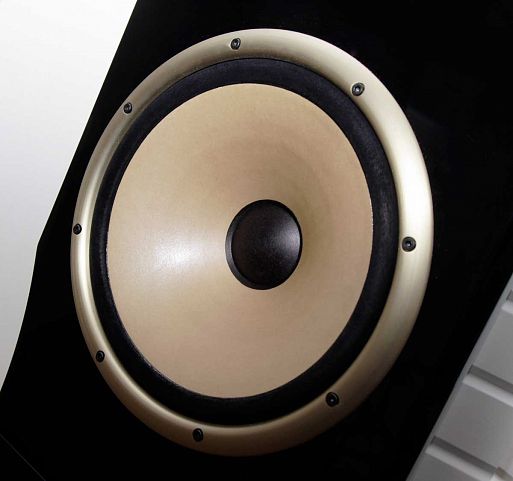 Авторская система Леонида Бурцева «Триумф»