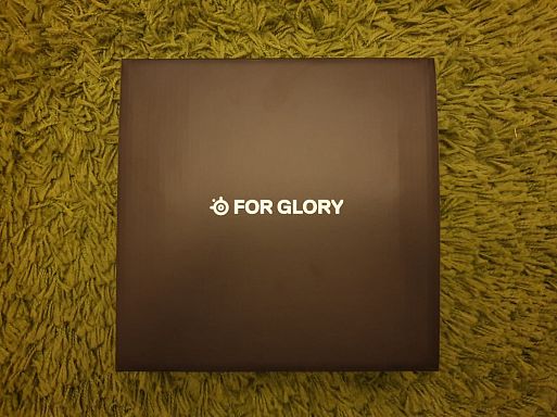 SteelSeries ARCTIS 9X