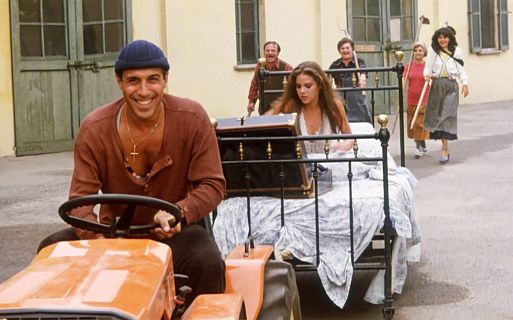 11. «Укрощение строптивого» / Il bisbetico domato (1980) – 56 миллионов зрителей