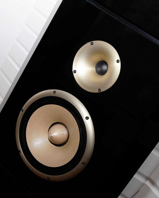 Авторская система Леонида Бурцева «Триумф»