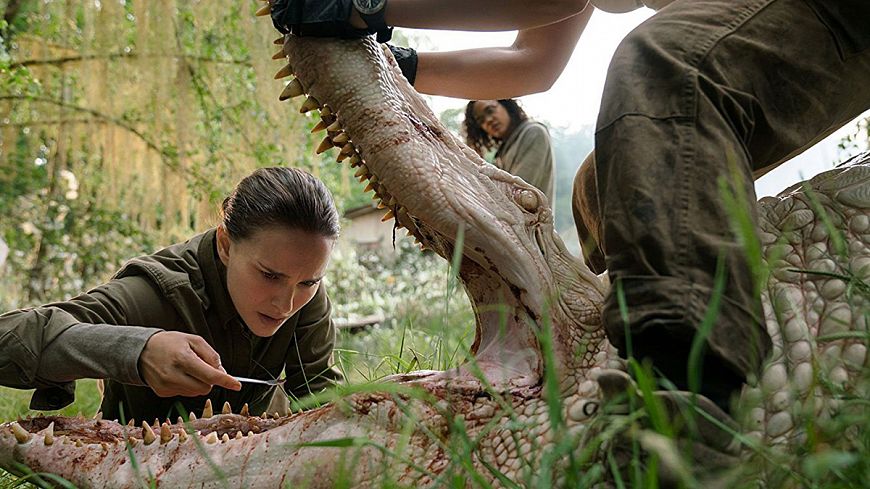 4. Аннигиляция / Annihilation (2018)