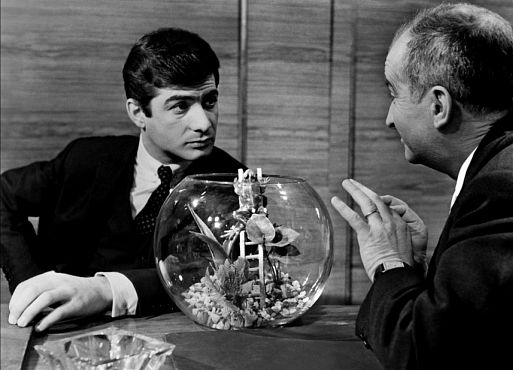 7 комедий с черным юмором из Франции