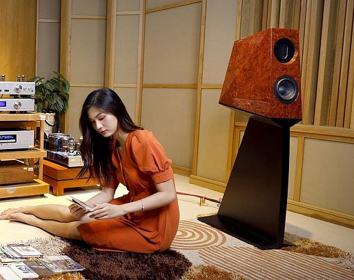 30 лет вместе с Cary Audio